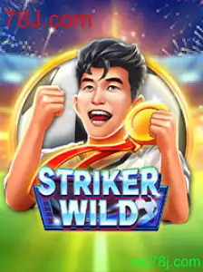 StrikerWILD: Um Mergulho Profundo no Jogo Inovador